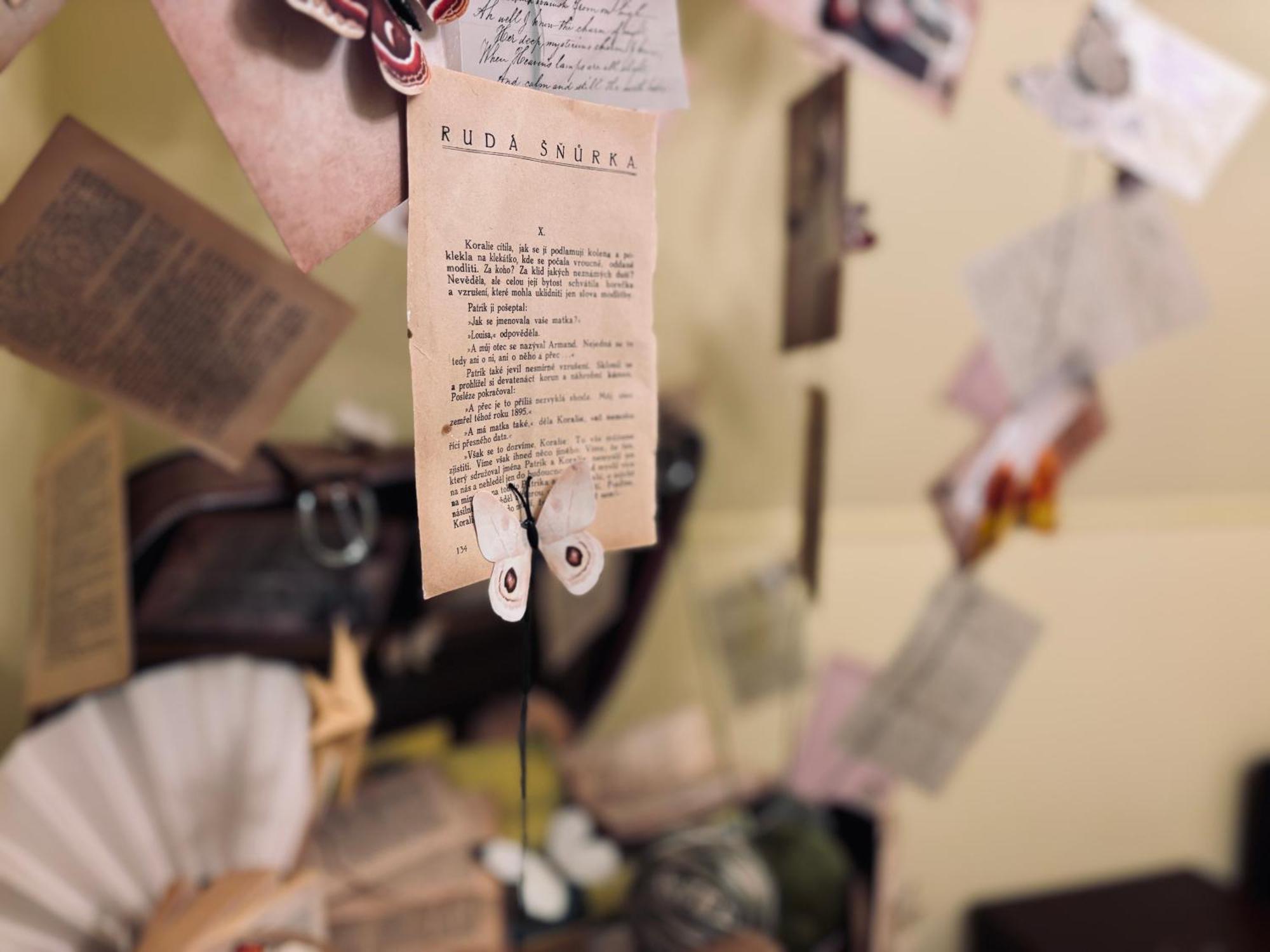 Poet'S Theme Room, Free Parking Karlovy Vary Extérieur photo